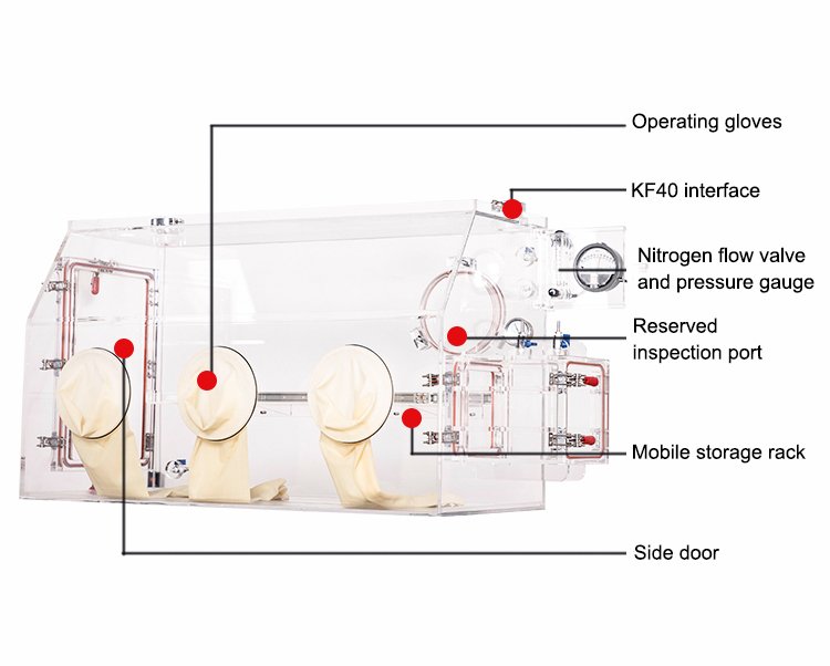 Customized Acrylic Glove Box Details